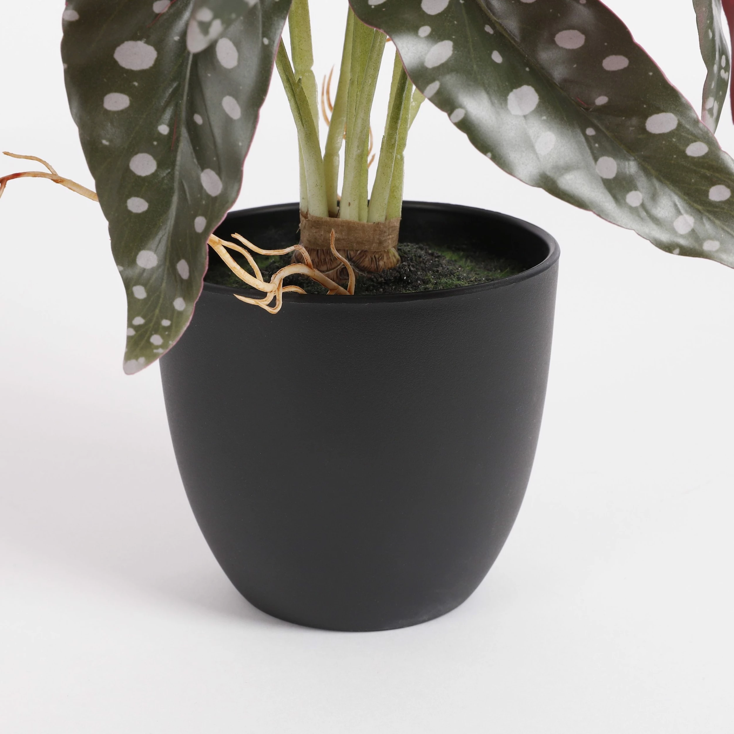 Mica Decorations Kunstpflanze Begonia – Bild 4