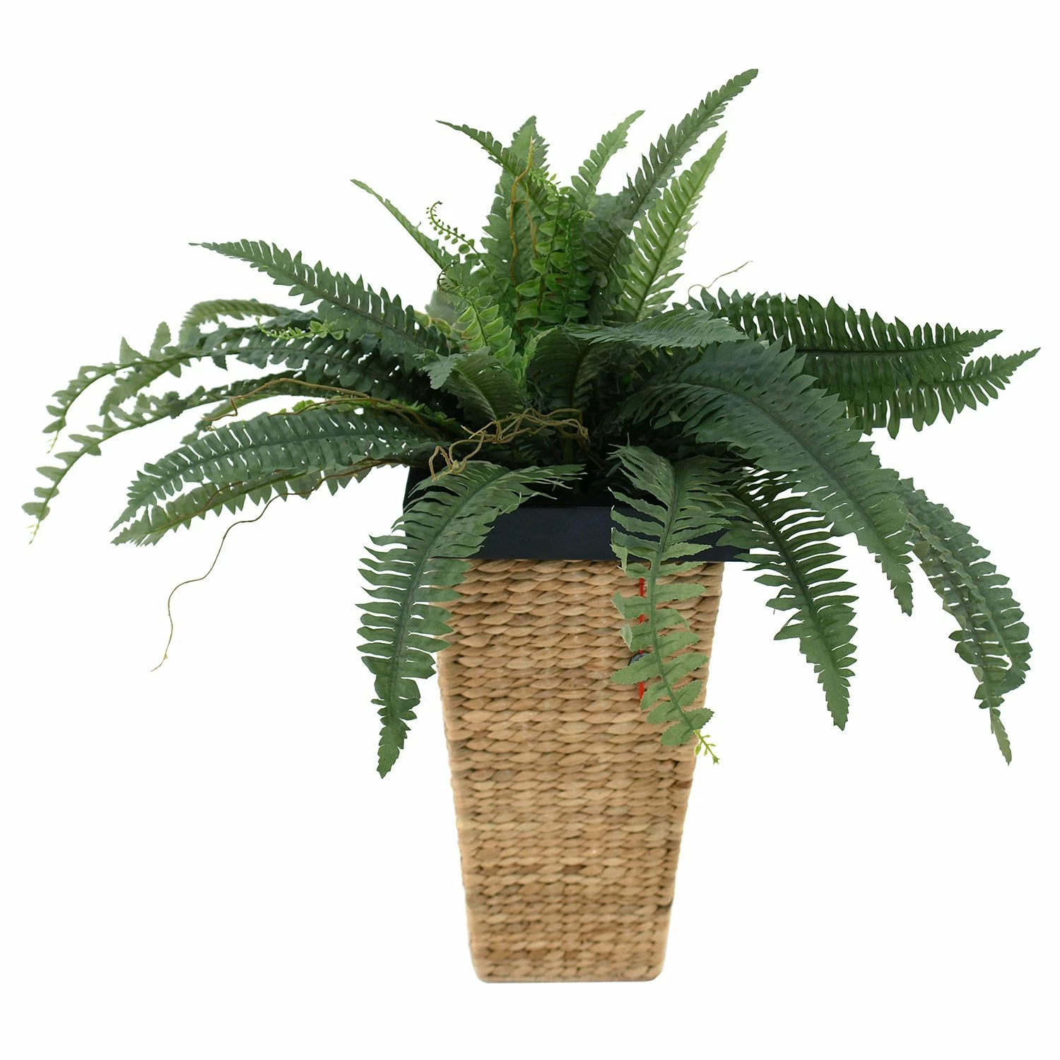 Flechtwaren Müller Pflanzgefäß Clovelly II - Weide - Hellbraun - 28 x 50 cm – Bild 3