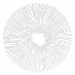 Koziol Schale Anemone - Kunststoff - Weiß