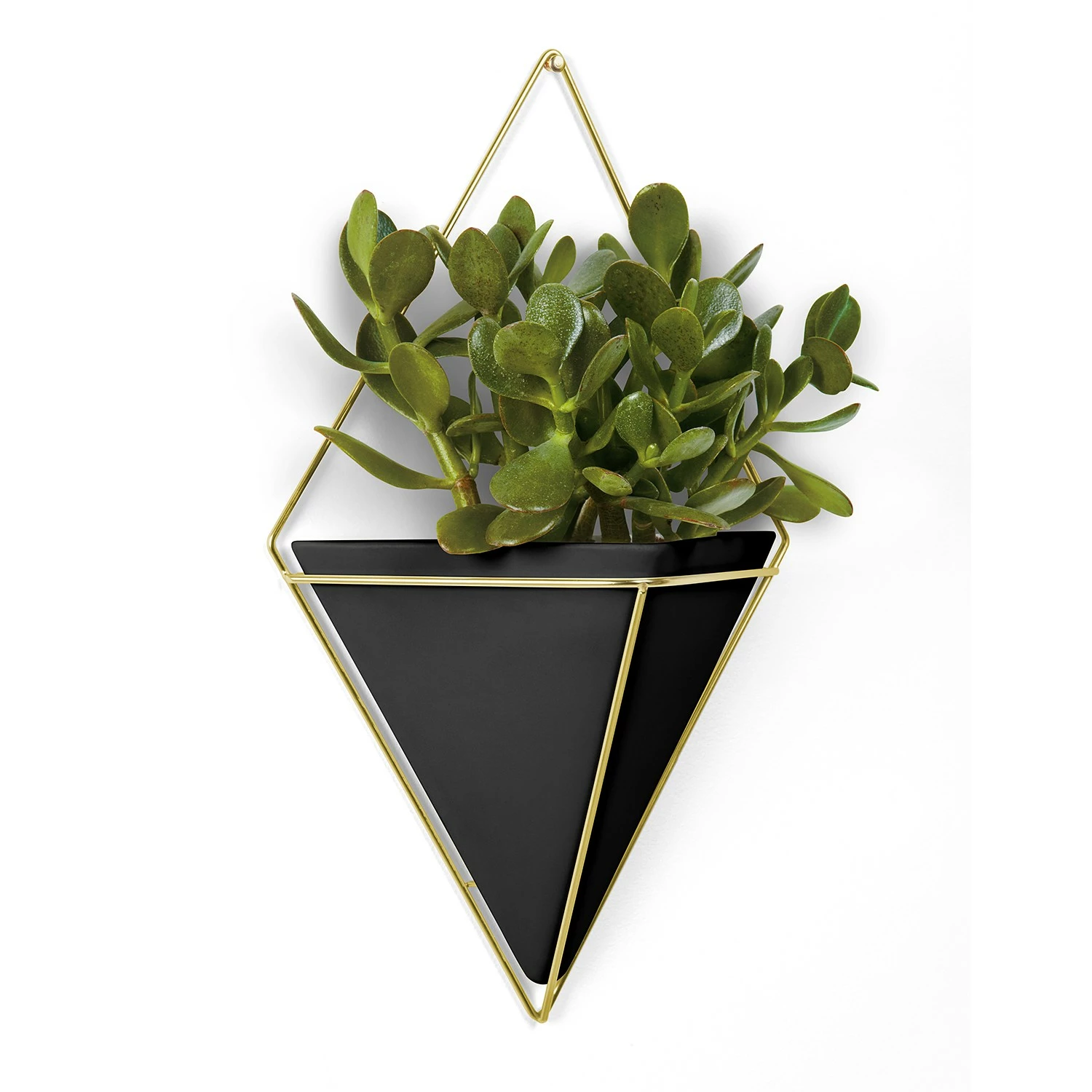 Umbra Wandvase Trigg - Schwarz / Messing – Bild 3