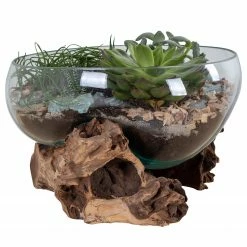 Twentyfour Dekoobjekt San Marino VI - Teakholz / Kristallglas - Braun