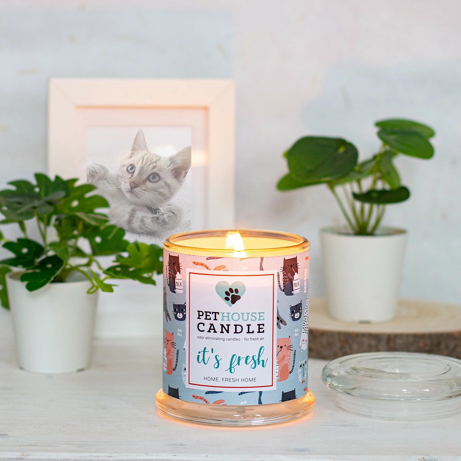 PetHouse Candle Duftkerze Home Fresh Home - Soja Wachs Mischung - Blau – Bild 3