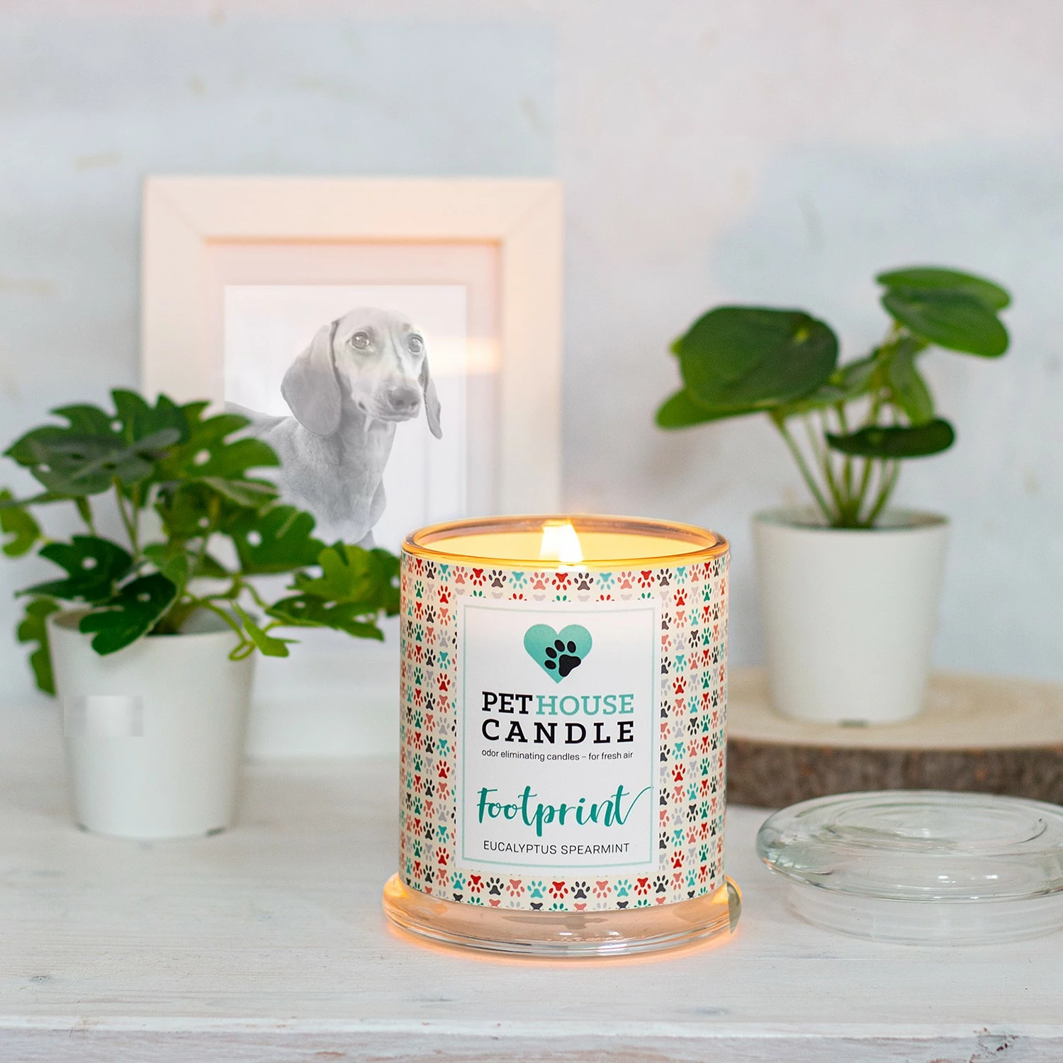 PetHouse Candle Duftkerze Eucalypthus & Spearmint - Soja Wachs Mischung - Mehrfarbig – Bild 2
