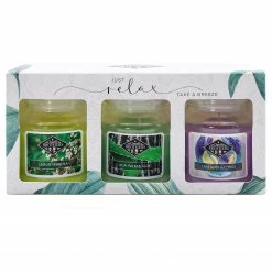 Candle-Brothers Duftkerzen Relax (3er-Set) - Soja Wachs Mischung - Mehrfarbig