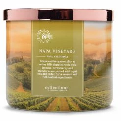 Colonial Candle Duftkerze Napa Vineyard - Soja Wachs Mischung - Grün - 411g