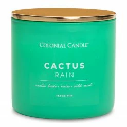 Colonial Candle Duftkerze Cactus Rain - Soja Wachs Mischung - Grün - 411g