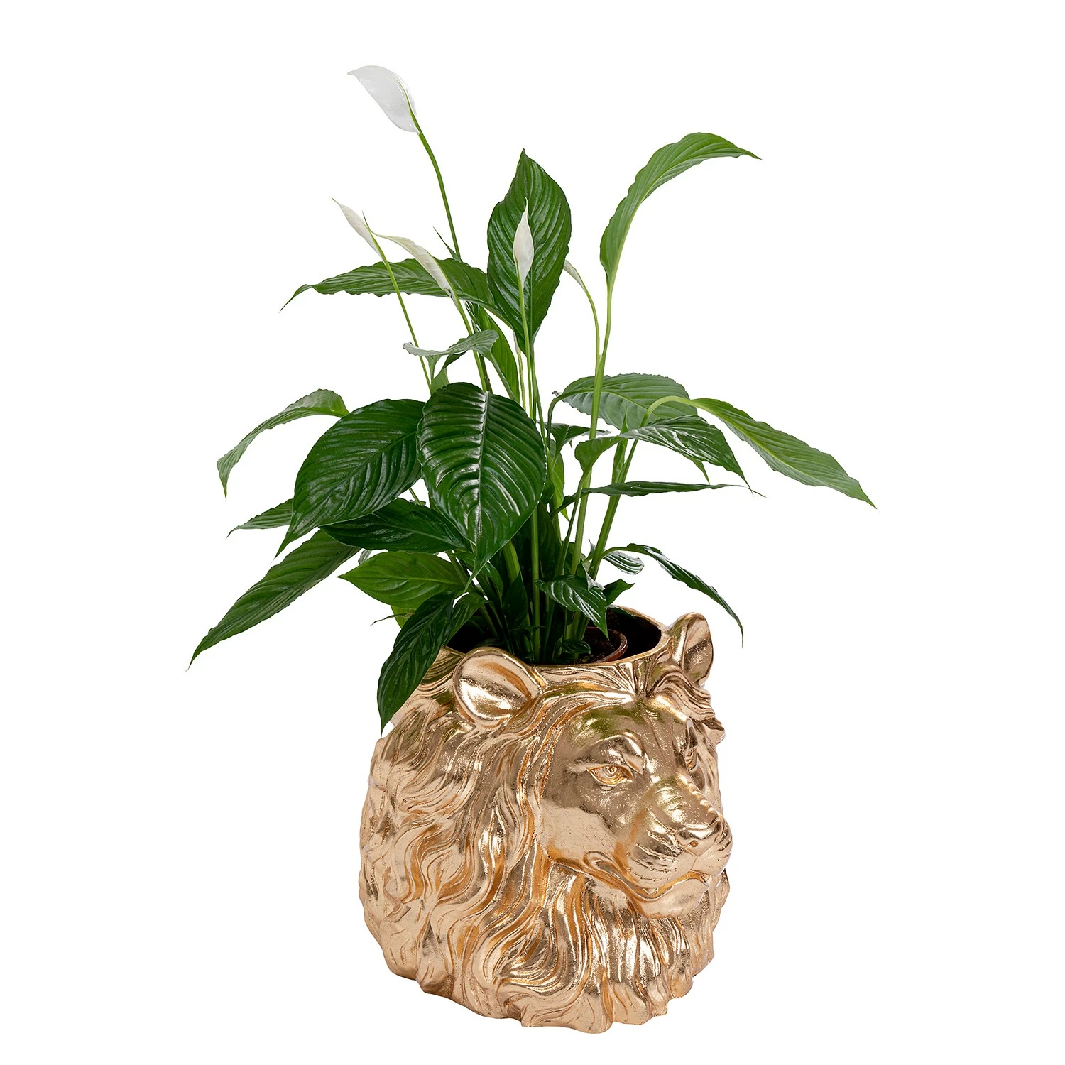 Kare Design Deko Übertopf Lion I - Gold - Kunststoff – Bild 4