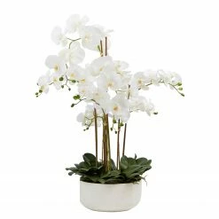 Twentyfour Kunstpflanze Orchideentopf Royal - Polyethylen / Keramik - Weiß / Grün