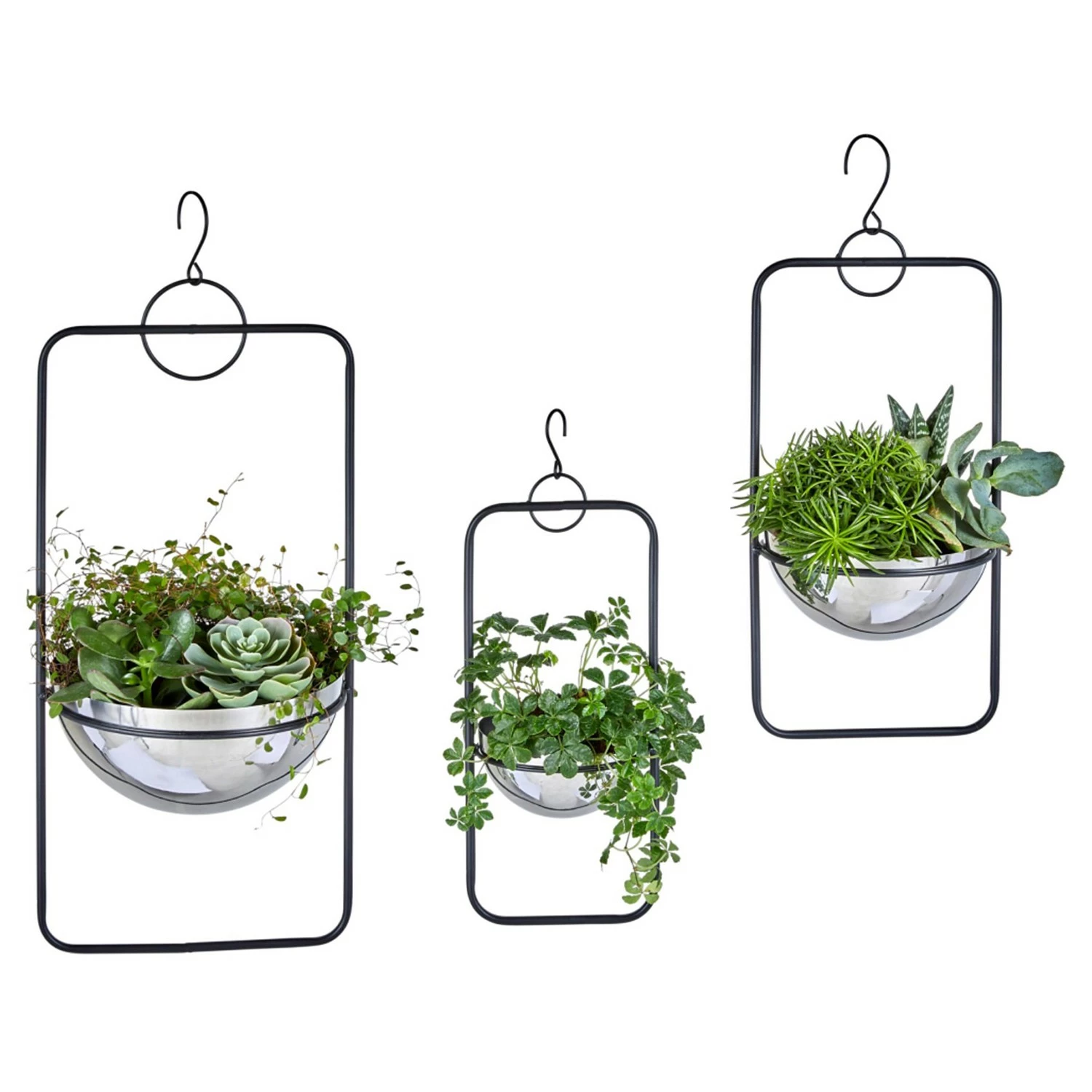 Twentyfour Pflanzenhänger Himba (3-teilig) - Edelstahl - Schwarz – Bild 3