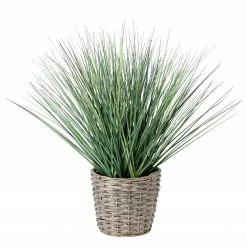 Twentyfour Kunstpflanze im Korb Zwiebelgras - Polyester PVC / Weide - Grün / Grau