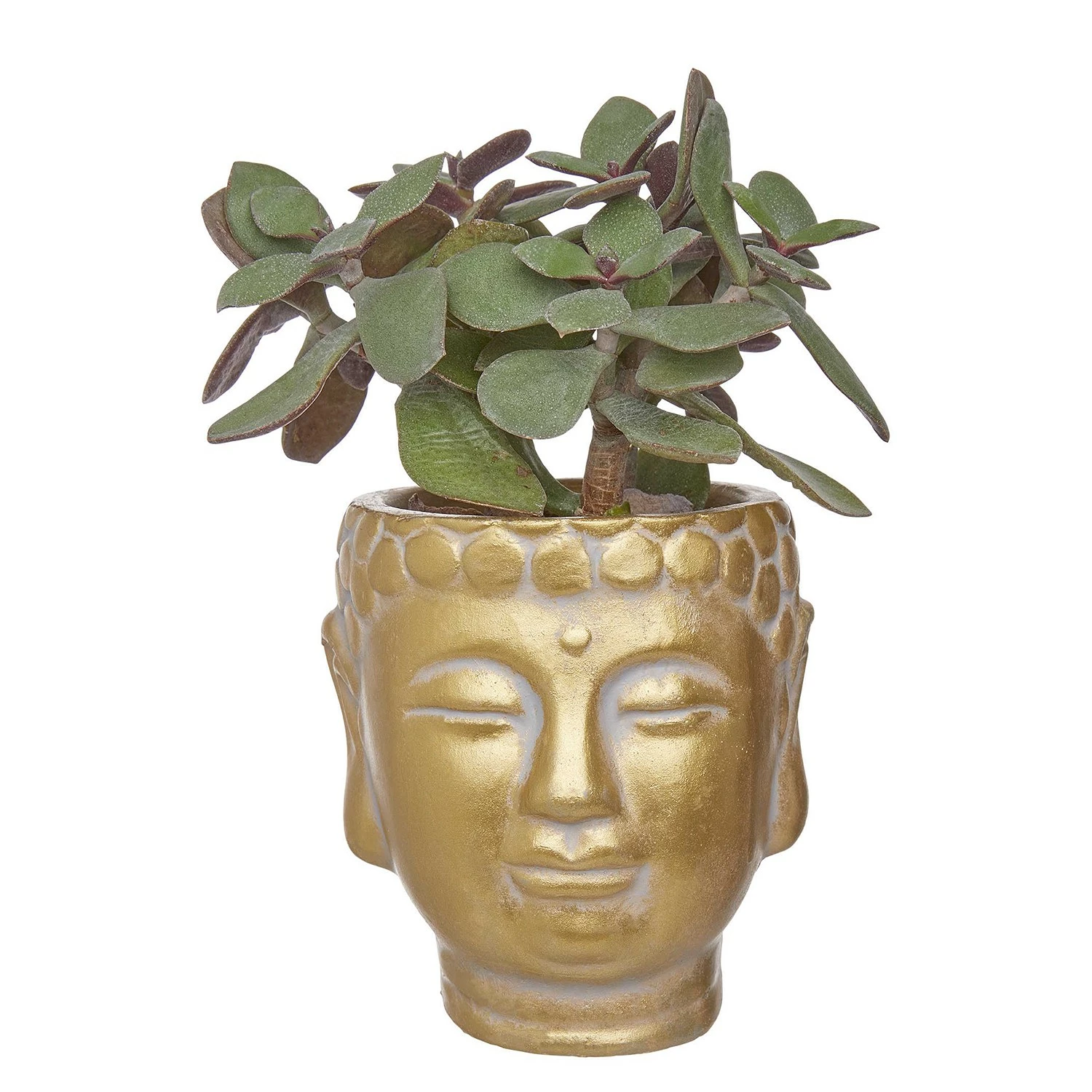 Butlers Mini-Blumentopf BUDDHA - Beton - Gold – Bild 2