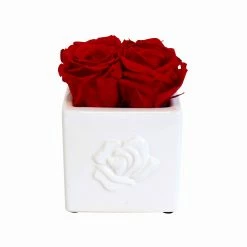 Flowforia Infinity Rosenarrangement Rose eckig