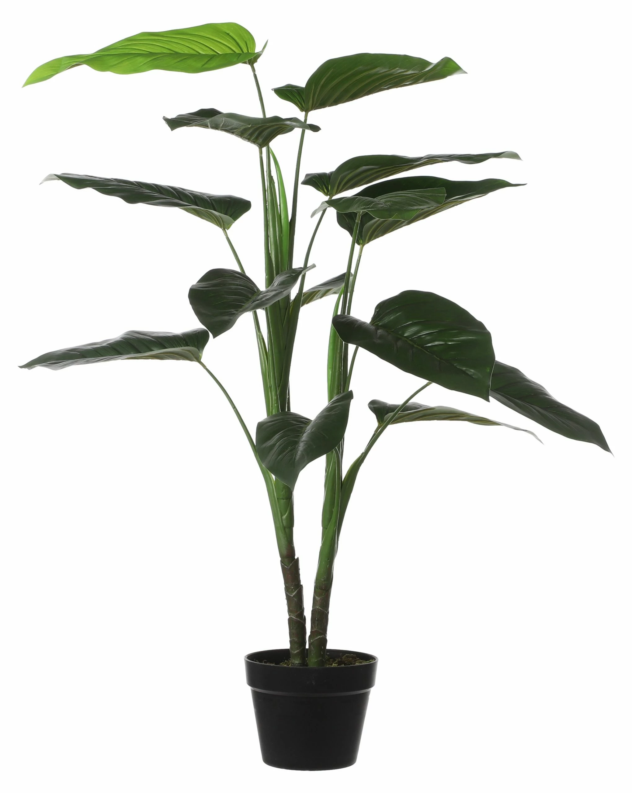 Mica Decorations Kunstpflanze Philodendron