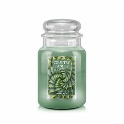 Country Candle Large Jar Spiral Aloe