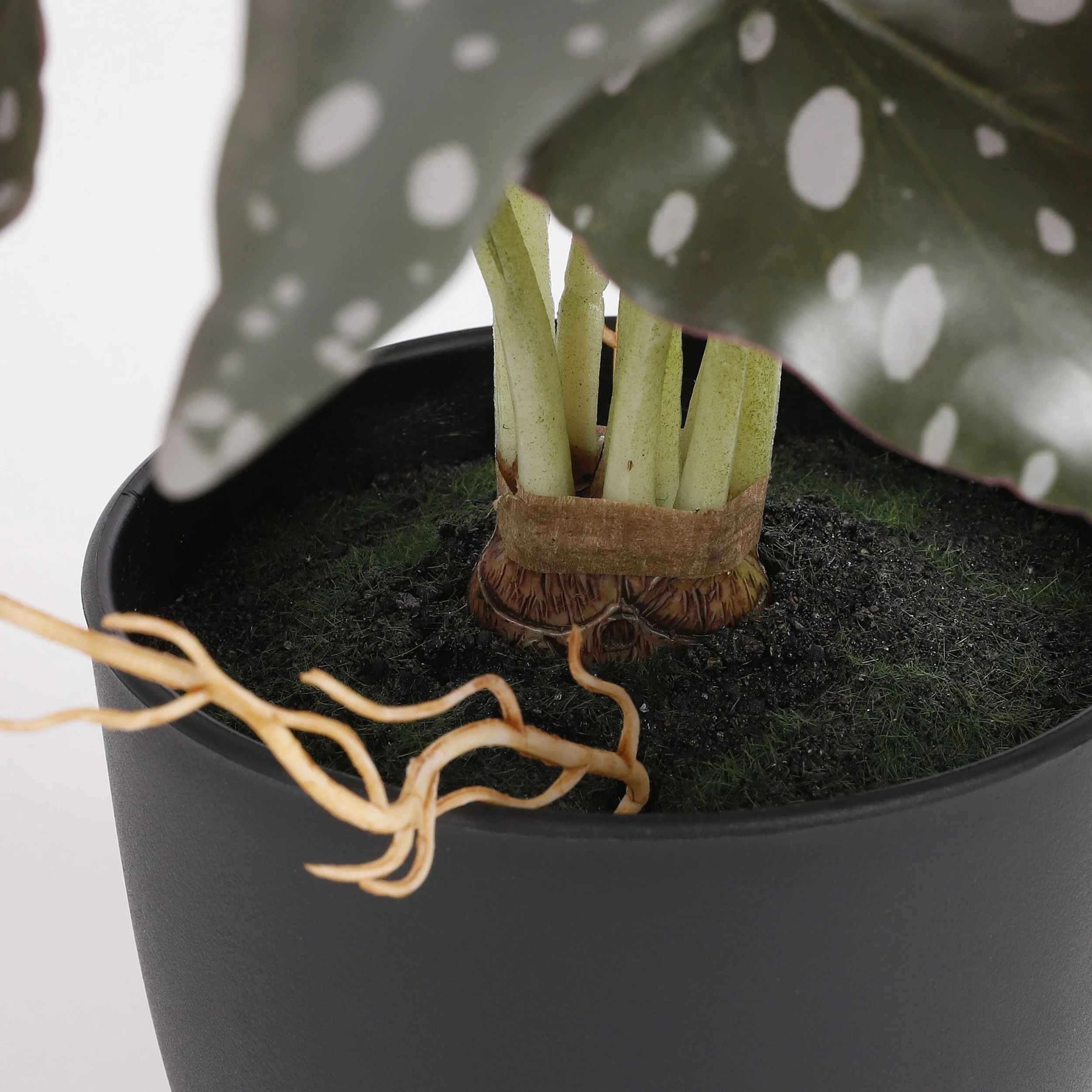 Mica Decorations Kunstpflanze Begonia – Bild 3