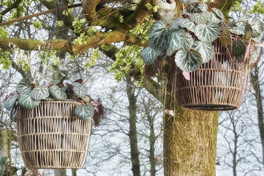 Mica Decorations Blumentopf Peta – Bild 2