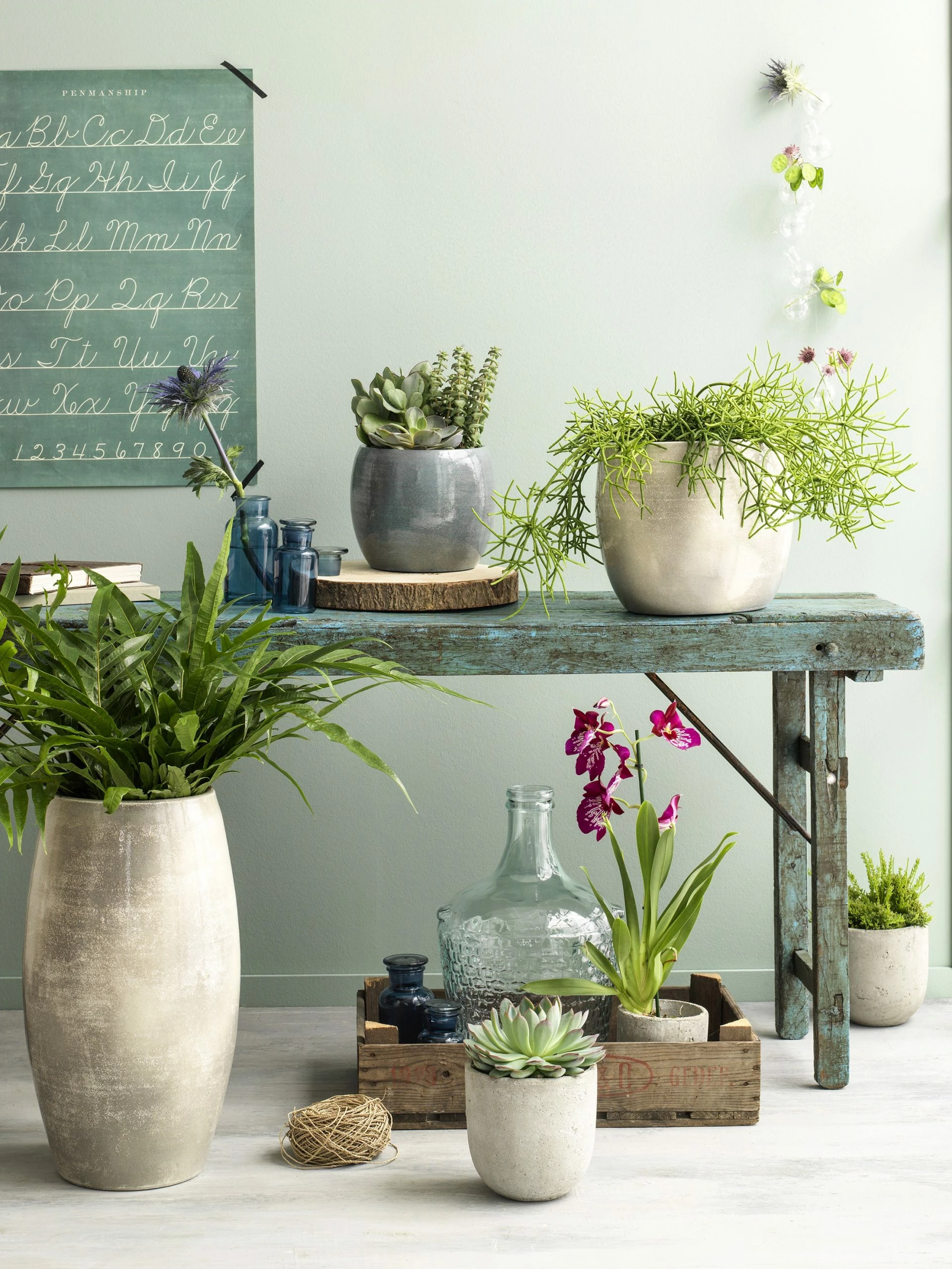 Mica Decorations Blumentopf Lester - 28 x 26 x 28 cm - Durchmesser: 28 cm – Bild 2