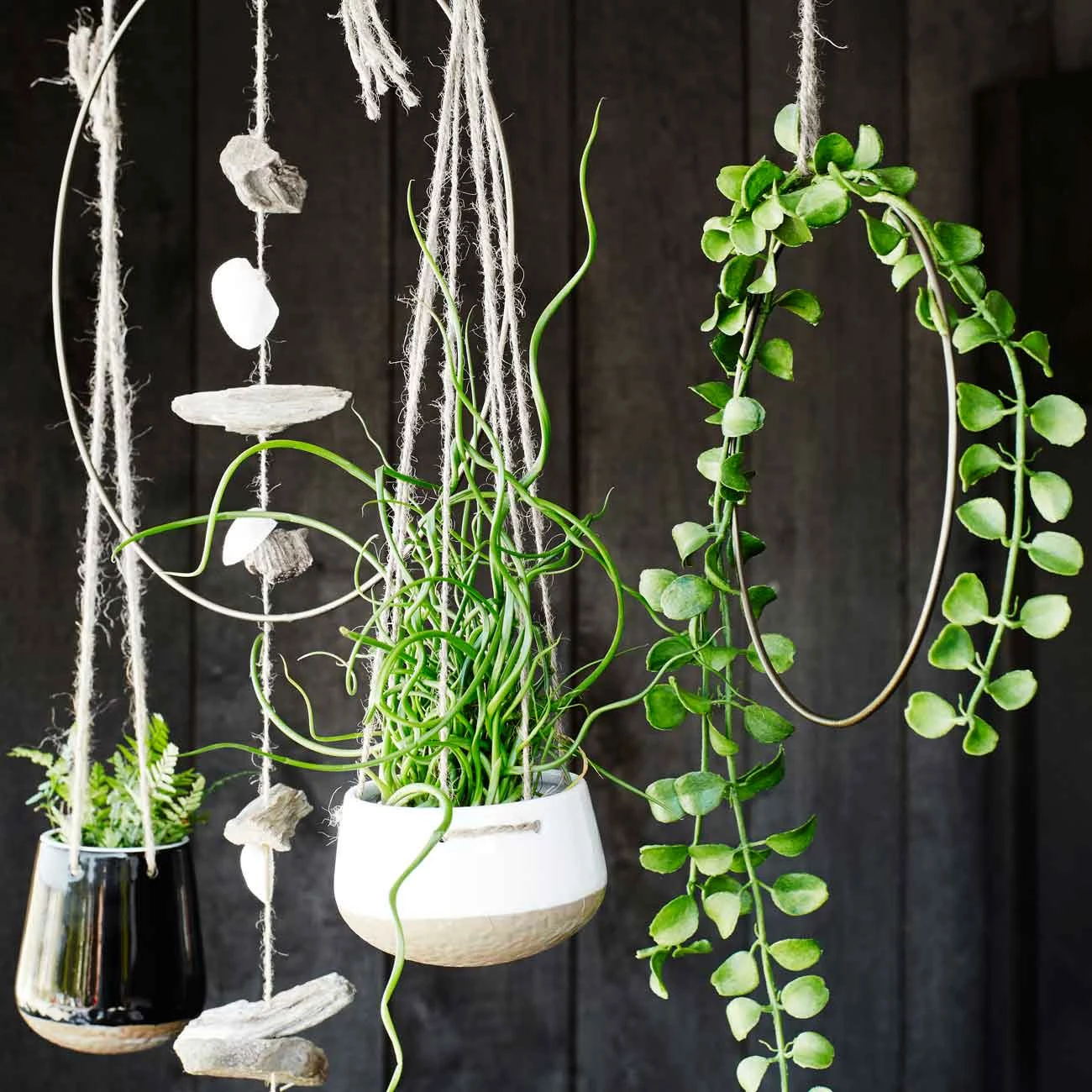 Madam Stoltz Dekoring für Wand & Fenster, mittel – Bild 4