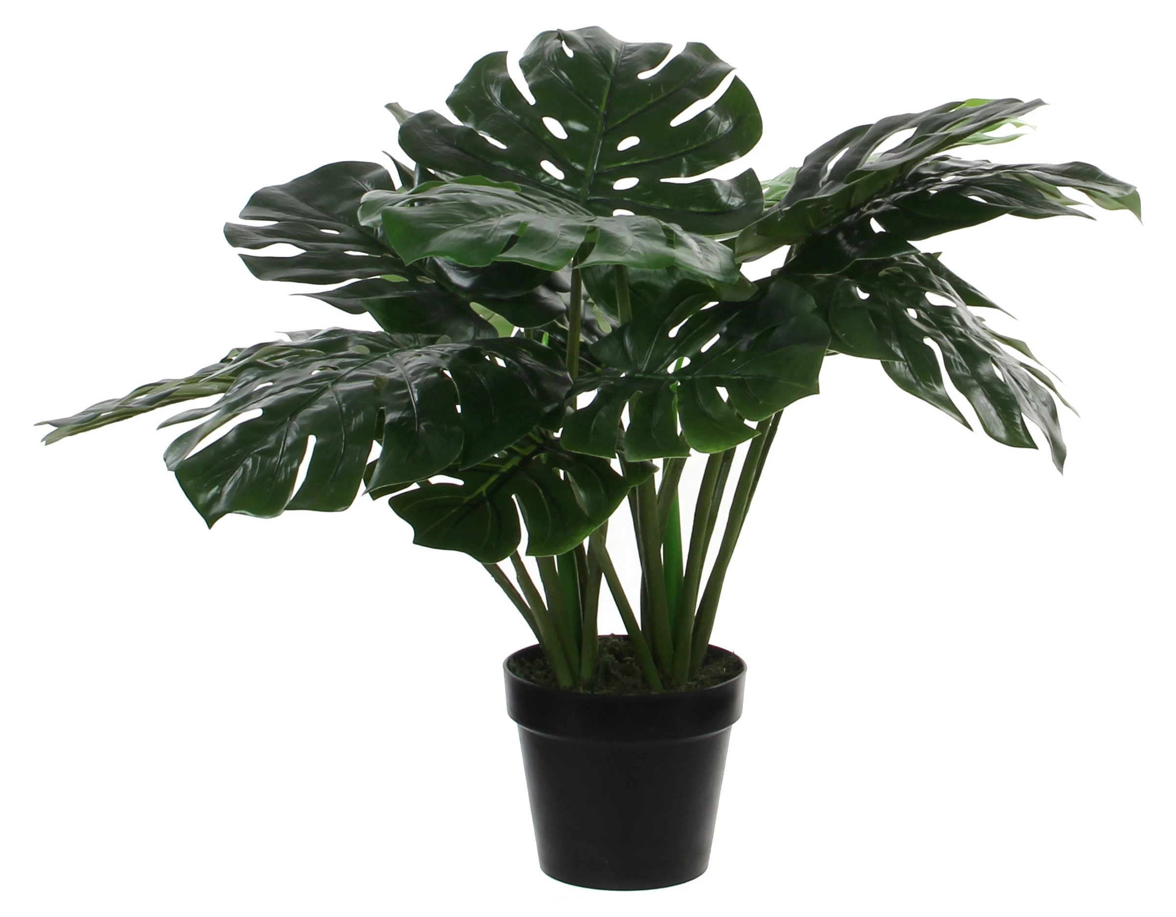 Mica Decorations Kunstpflanze Monstera - Höhe: 60 cm