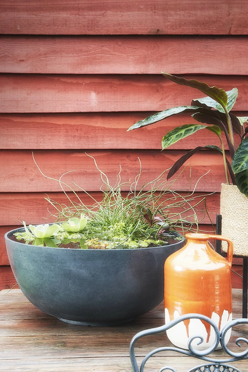 Mica Decorations Pflanzenschale Bravo - Anthrazit - 55 x 26 x 55 cm - Durchmesser: 55 cm – Bild 2
