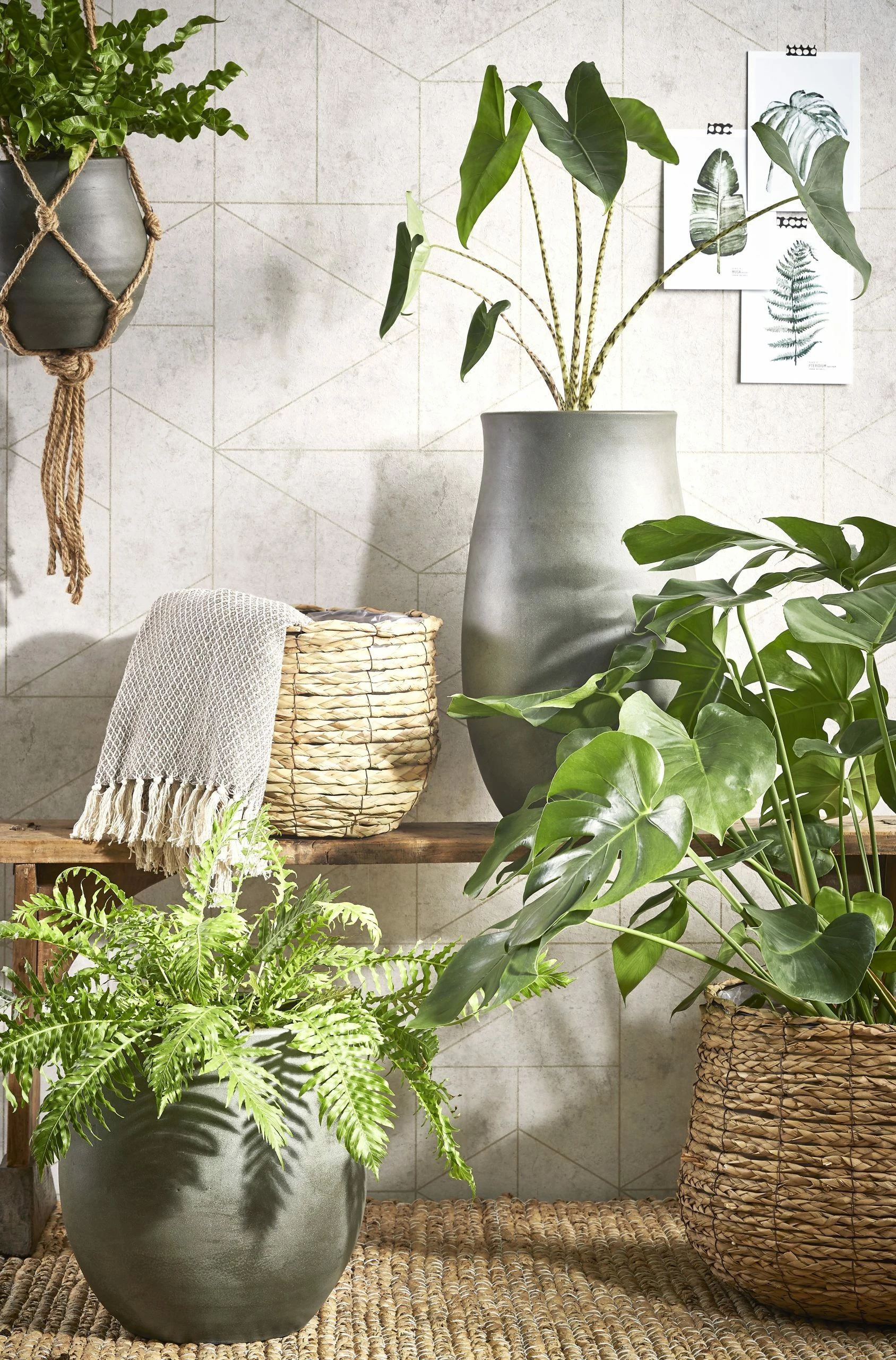 Mica Decorations Pflanzkorb Avalon - 30 x 31 x 30 cm - Durchmesser: 30 cm – Bild 2