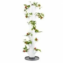 Gusta Garden Sissi Strawberry classic - Weiß - Höhe: 113 cm