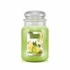 Country Candle Large Jar Pineapplerita