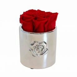 Flowforia Infinity Rosenarrangement Rose rund