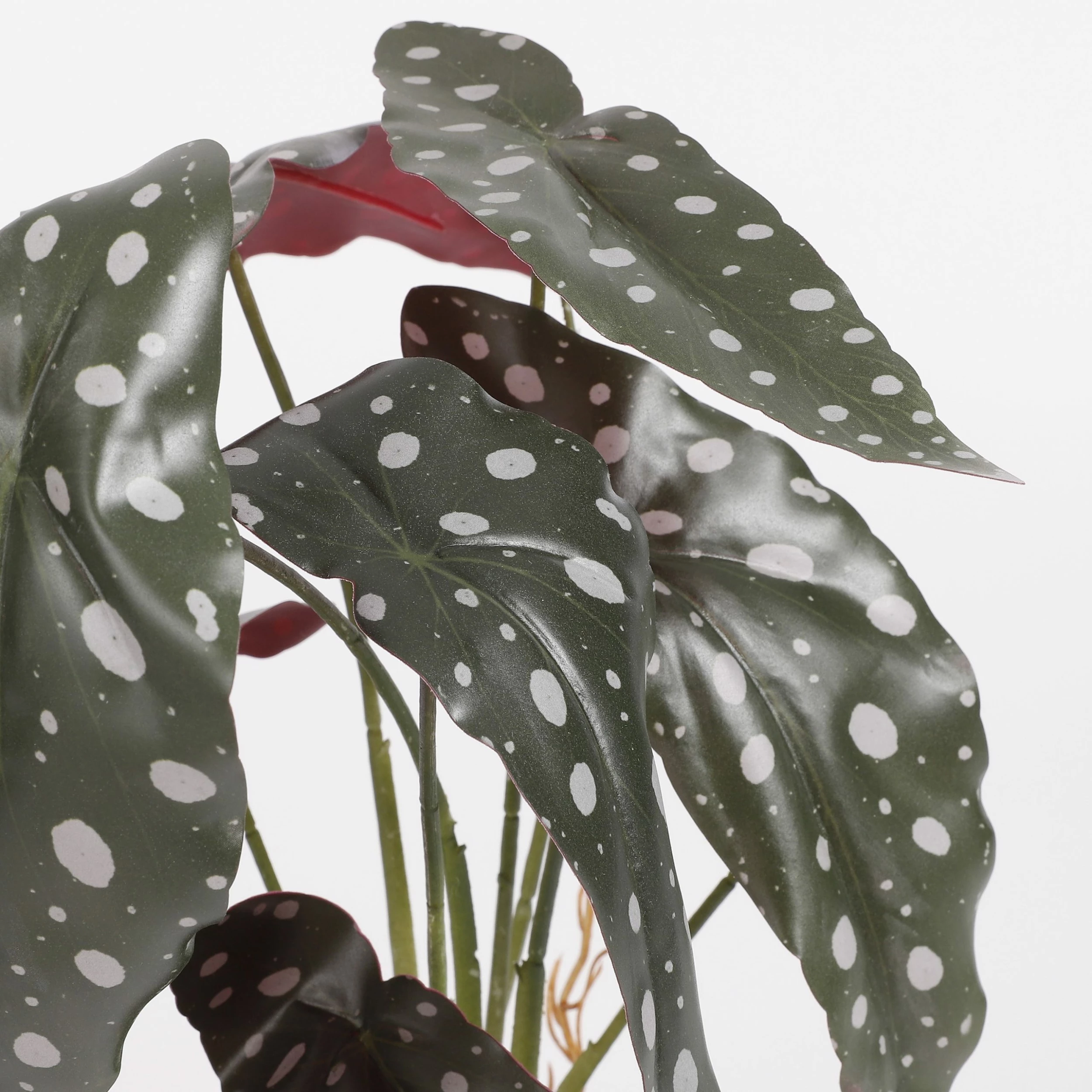 Mica Decorations Kunstpflanze Begonia – Bild 2